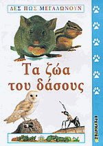        VCD