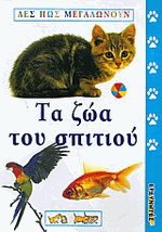     VCD