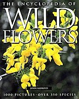 WILD FLOWERS