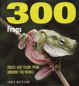 300 Frogs