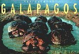 Spectacular Galapagos