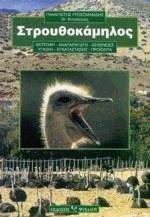 Στρουθοκάμηλος